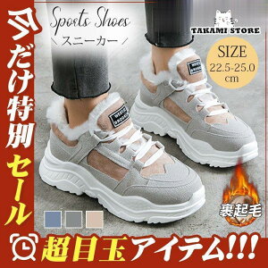 Xj[J[ fB[X EH[LOV[Y N  {A g h y  H~ Ȃ ^   JWA