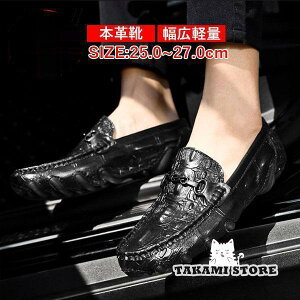 [t@[ JVrWlXV[Y hCrOV[Y Y {v L R L fbLV[Y amC  tbgV[Y Ȃ