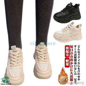 [gu[c fB[X  Xj[J[ N Xm[u[c EB^[u[c {A tbgV[Y hC h ۉ C 