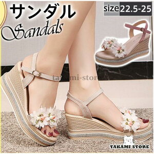 T_ fB[X V[Y EFbW\[ q[  Vv ₷  r   傫TCY t Ղ