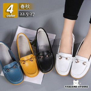 pvX fB[X V[Y JV [q[ ؂ tbg ɂȂ ₷ JWA 傫TCY Ռz  ʋΒʊw