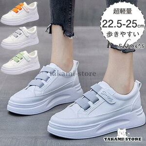 Xj[J[ fB[X X|[cV[Y V[Y  EH[LO jO JWA Vv AEghA  ʋΒʊw R[f