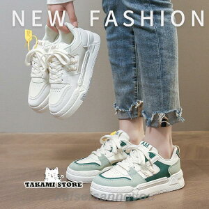 Xj[J[ fB[X V[Y C EH[LOV[Y  [Jbg ₷ Ȃ t  H