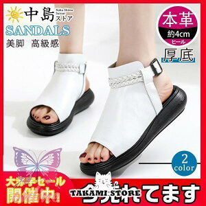 T_ {v _炩 xN fB[X  EFbW EFbW\[ ʋ ₷ V[Y Xgbv  r C RtH[g