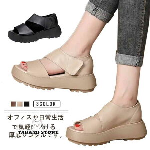  fB[X ~ RtH[gT_ ₷ ItBXT_ X|[cT_ JWAV[Y Ȃ r yʐ݌v 