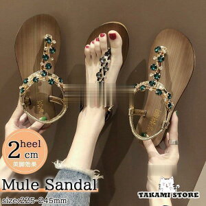 T_ fB[X t ₷ tbgT_ gOT_ V[Y ~[T_ r[`T_ ₷ r IVʋ