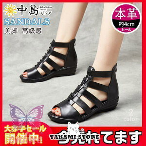 T_ {v _炩 xN fB[X  EFbW EFbW\[ ʋ ₷ V[Y I[vg@  r C RtH[g