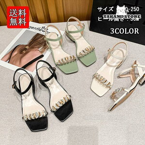 i T_ Y fB[X  傫TCY T_  EFbW\[ W[g NXSxg (3.0cmq[)