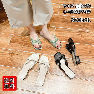 i T_ Y fB[X  傫TCY T_  EFbW\[ W[g NXSxg (3.0cmq[)