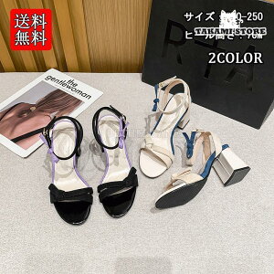 i T_ Y fB[X  傫TCY T_  EFbW\[ W[g NXSxg (7.0cmq[)