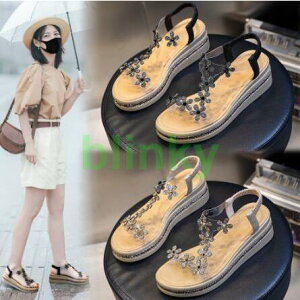 2023 ău[cT_ fB[X nCq[ Cq[ bV ~[ ₷ T}[    ʋ V[Y q[5.5cm