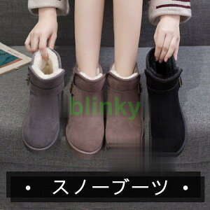 u[c fB[X JWAV[Y nCJbg  g C ʊw ʋ n t H ~ AE^[ [N K