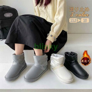 Xm[u[c fB[X V[gu[c [gu[c ނ {A  h hC h ۉ H ~  V[Y C