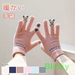 [gu[c fB[X V[gu[c u[c {A N  ~ }}C  _炩 40 50 ~