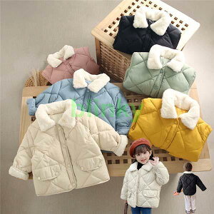 [gu[c LbY H~ N qu[c ̎q j̎q Xm[u[c ׂ V[gu[c qC V[Y LbYC g   Vi