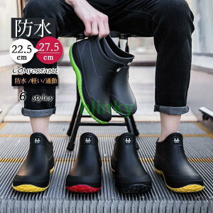 CV[Y fB[X JC Cu[c J V[Y jp t@VV[Y h ~J J̓ C  J V[Y ~