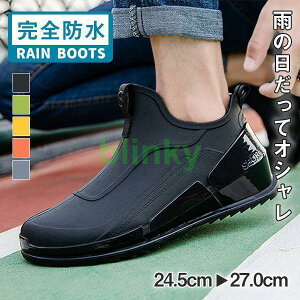 Cu[c CV[Y Y fB[X h h C ~J J΍  RȂ Lb`V[Y JWA ނ ʋ ʊw