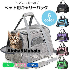 yVFǉzybgL[obN ybgL[ lR  obN Lp p ybgL[ ܂ V_[L[ q qL ybgpi