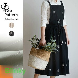 Gv h obNNX Ԃ JtFGv  `jbNGv k O n ۈm 傫TCY  Čy