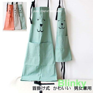 Gv Rbg |  n fB[X t obNNX TCY 傫߃TCY 䏊 Xg JtF w