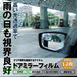 Ԃ̃obN~[tB J[obN~[ ԗphtB htB 12 ԗphA~[ TCh~[ ėp^ Em S^]