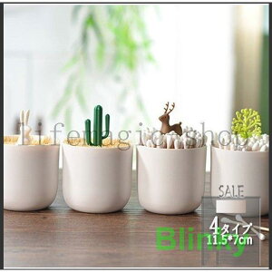 Vܗk}ꂨ܂悤ꕔpܗk}P[X[Wt