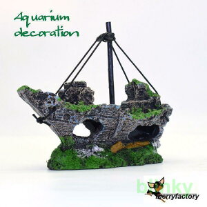 CeA D CD ̉B ANZT[  i ANAEpi pi CAEgpi CAEg  G