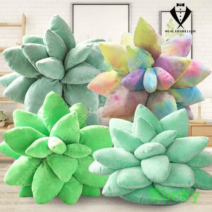 ʂ Aʂ _炩ʂ A ʔ l` NbV j̎q ̎q a NX}X Mtg nEB  CeA