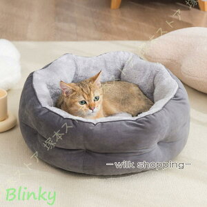  xbh ی^ ӂӂ L NbV  ybgxbh Q ybgNbV ^ ybg}bg  hbO pxbg Lpxbh 