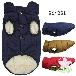 Lxbh LbgnEX LnEX NbV L xbh \t@[ Lp ^ p Q ӂӂ LnEX ~p ΍ h NbV Lbgxbh