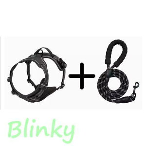 n[lX  ^ ^ ^ ^    S11F ˑf 킢 Jt ԈS  NbV t`uhbO