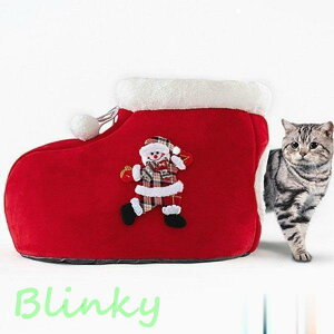 ybgxbh NX}X C^ 킢  L xbh Lp ˂nEX  L NbV p g