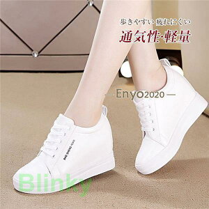 Xj[J[ fB[X V[NbgV[Y Cq[  7cMV[Y nCq[ nCJbg X|[c ^   ʋ