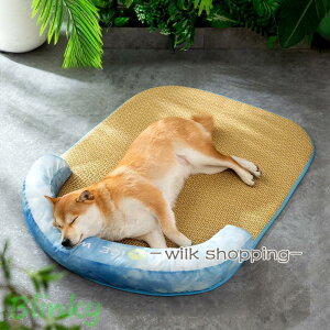  xbg  􂦂 Ђ ⊴  ybgxbg ybg\t@[ ėp ܂  Q Lxbh xbg ^ ^ ڐG⊴