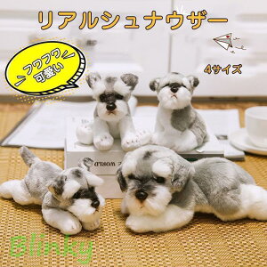 ʂ ViEU[ A    킢 q a v[g j~jTCY G