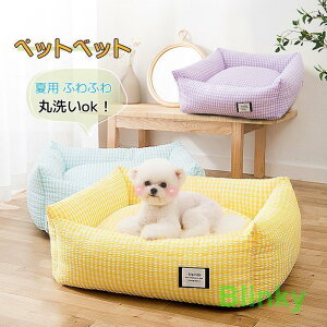  xbg  􂦂 Ђ ⊴  ybgxbg ybg\t@[ ėp ܂  Q Lxbh xbg ^ ^ ڐG⊴