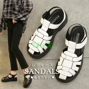 T_ OJT_ fB[X T}[ i[XT_ ҂ݍ  y ~ ₷ ʋΒʊw Ȃ NXT_
