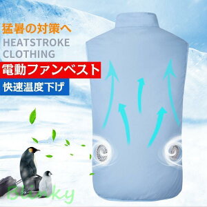 󒲍ƕ dt@xXg p [NEFA [N} O N[xX GAR ΍ M΍ N[EFA ƕ 󒲐