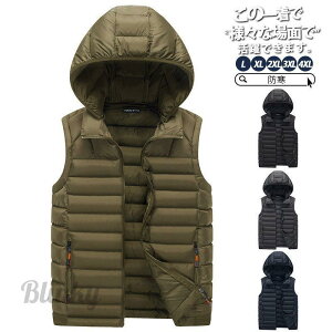 StEGA StxXg _ExXg Y H ~ h LeBO y ȃxXg ȃ_E WPbg WPbg _EWPbg