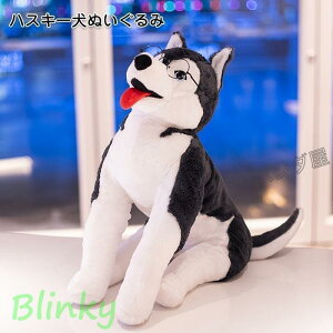 ʂ nXL[    l` Mtg Ck av[gj 蕨 70cm