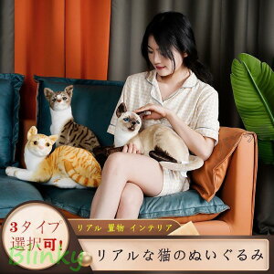 ねこぬいぐるみ ネコ リアル 置物 インテリア リアルな猫のおもちゃ 可愛い 萌え萌えお人形抱き枕 幼児の贈り物 お誕生御祝い ギフト PD-CAT23029
