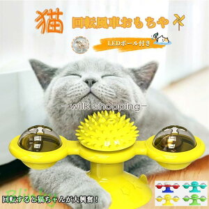  L   ނ  Lp L L̂ Lᓮ {[   v lV