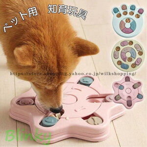   mߋ mgC Ck ybgp Hh~ m[Y[N t[h{E {[ g[c Q[  ی` ` ^ Fm h~