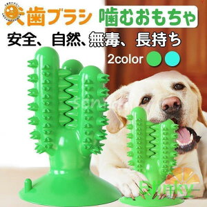 ނ ybgp 񎕃uV S ̃N[jO C^NeBuȉP L\h