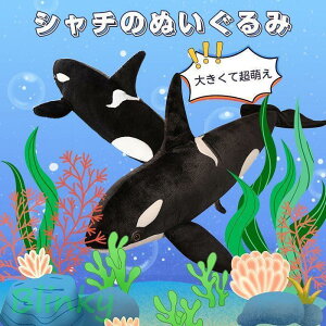 V` NW  ʂ  V`  ~  傫 킢 Cm@@_炩 ӂӂ q ޏ FB j a 蕨