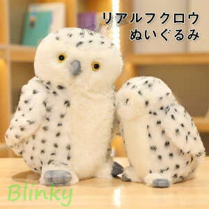 A VtNE ʂ tNE  ӂ낤D  q  G Mtg v[g owl903