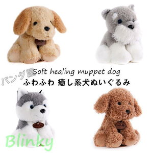 ʂ ViEU[  A Ck   Aj} p  a Mtg 20cm