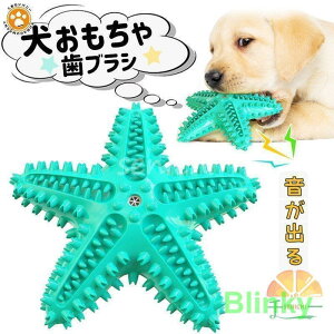 ނ ybgp uV S o ̃N[jO L\h Η\h XgX ^s VRS v  qgf