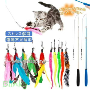 L炵 ˂炵 Lp L ˂ lR H  Lpi G L XgX ^s ̉H ̃nl 