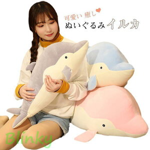 ʂ CJ 傫   _炩  킢 q NbVj  v[g 100cm